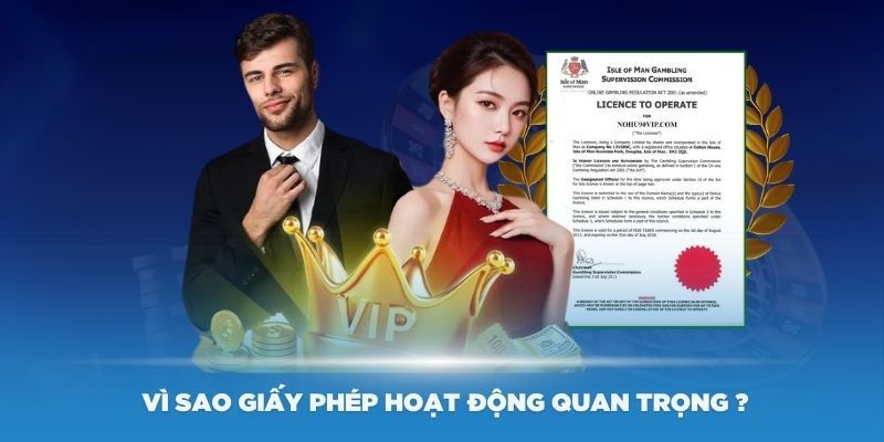 Thông tin cơ bản về giấy phép hoạt động kinh doanh của Ku11